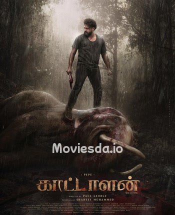 Kattalan poster