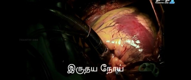 Moviesda.Mobi - Gowli 2024 Original 720p HD.mp4