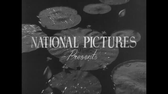Moviesda.Mobi - Parasakthi 1952 Original 1080p HD.mp4