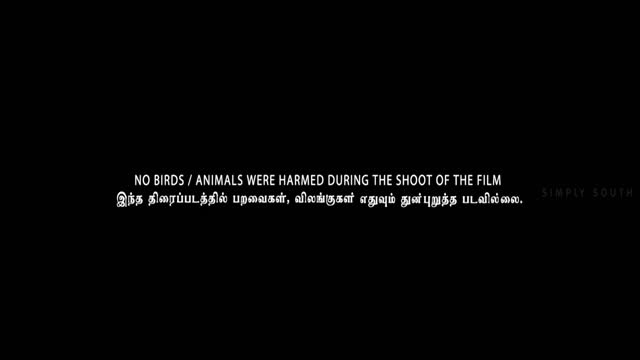 Moviesda.Mobi - Right 2025 Original 1080p HD.mp4