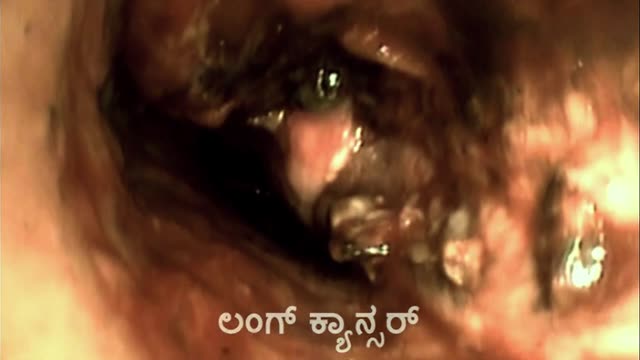 Moviesda.Mobi - Vritta 2025 Original 720p HD.mp4